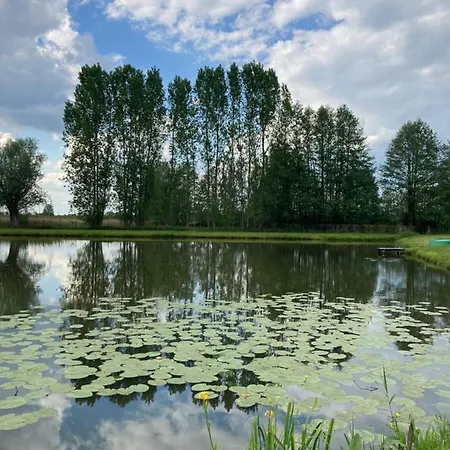 Nad Stawem Holiday home Dziecinow